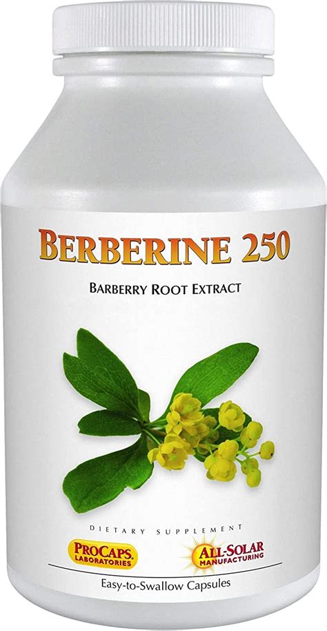 Amazon ANDREW LESSMAN Berberine 250 60 Capsules Barberry Root