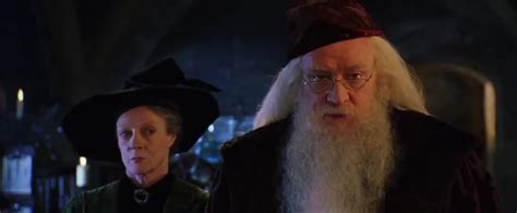 Dumbledore Chamber Of Secrets