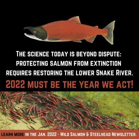Save Our Wild Salmon Home