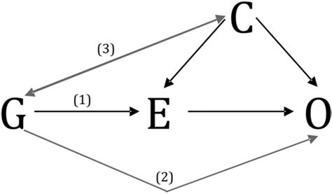 Basic Principles Of Mendelian Randomization The Target Exposure E Is