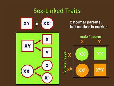 Ppt Gregor Mendel Powerpoint Presentation Free Download Id6784520