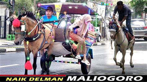 Naik Delman Istimewa Naik Delman Maliogoro Malioboro Nya Bojonegoro