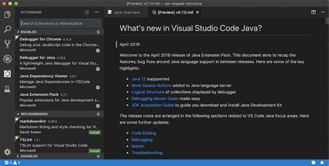 Visual Studio Code Install Pack Java Coreple