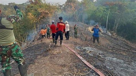 Tercatat Ada 10 Kebakaran Lahan Di Rejang Lebong Diduga Ada Unsur