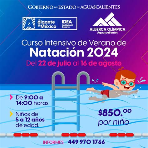 Cómo Inscribirse En Los Cursos De Verano 2024 Deportivos Y De Natación