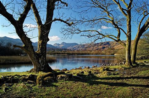 The Banks Of Elter Water Photograph By Darren Galpin Fine Art America