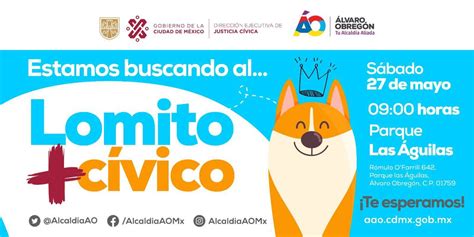 Alcald A Lvaro Obreg N On Twitter Estamos Buscando Al Lomito M S