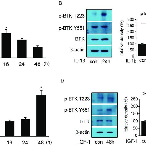 Expression Of Brutons Tyrosine Kinase Btk Mrna In Orbital Tissues