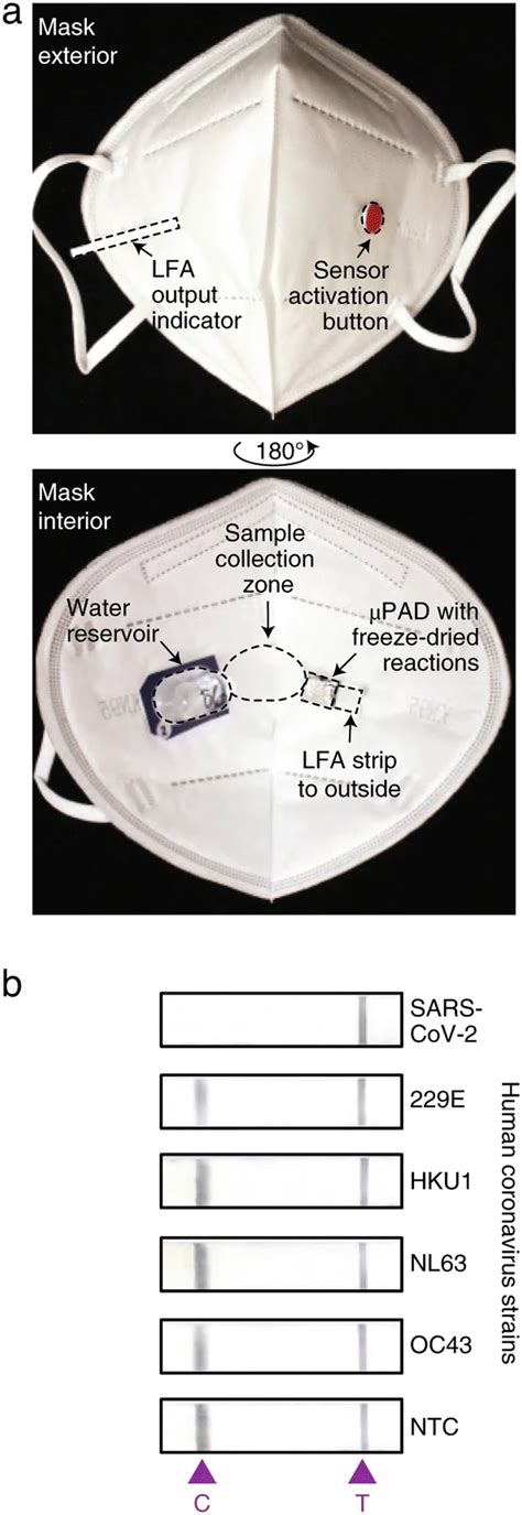 Simplifying The Complex Accessible Microfluidic Solutions For