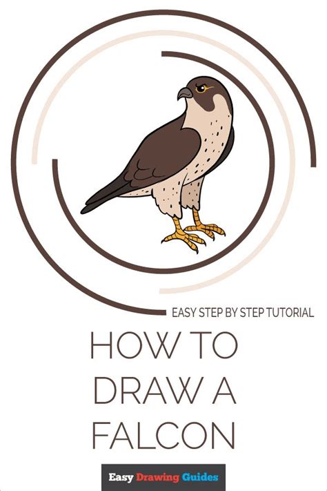 How To Draw A Falcon Really Easy Drawing Tutorial Falcon Drawing