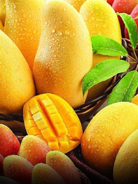 From Alphonso To Kesar 7 Delicious Mango Varieties In India News24