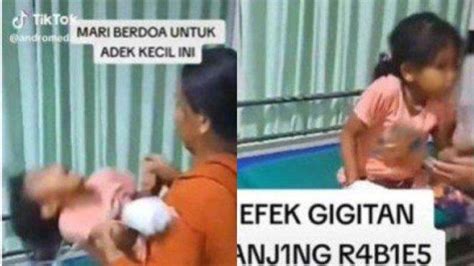 Fakta Bocah Meninggal Dunia Usai Digigit Anjing Diduga Kena Rabies