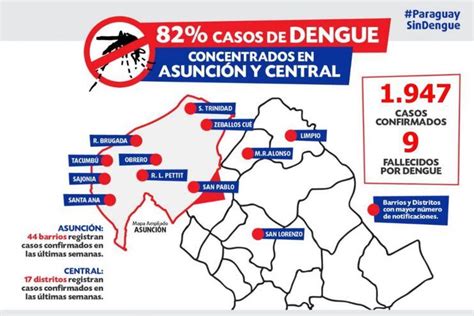 Confirman 9 Muertes Por Dengue Y Aumenta Riesgo De Epidemia Nacional