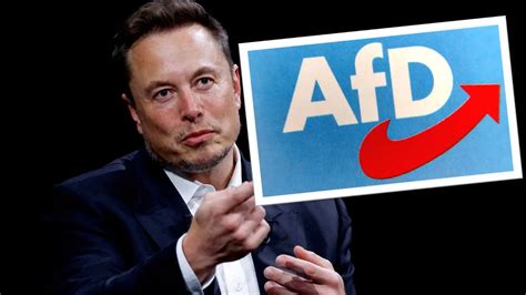 Elon Musk Will Wissen Warum Man So Negativ Auf Die Afd Reagiere