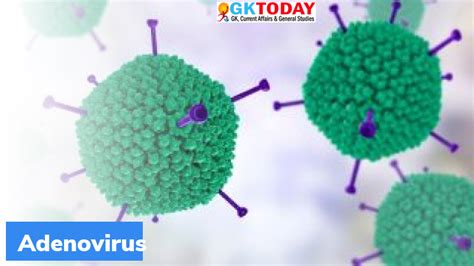 What is Adenovirus? – GKToday