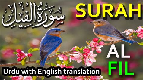 Surah Al Feel Surah Feel Tilawat Surah Al Fil Easy Memorization