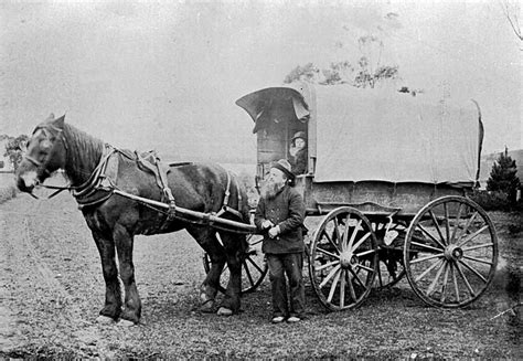 Horse Drawn Wagon