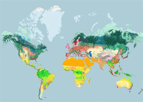 Nature Map Earth | The 4 Returns Community Platform