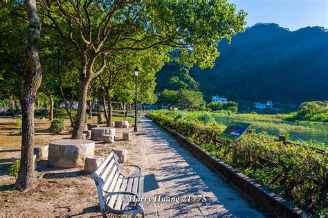 Harry21775廣興廣興河濱公園河濱公園公園綠地賞鳥生態新店溪平廣溪匯流口濕地溼地生態步道賞景步道步道