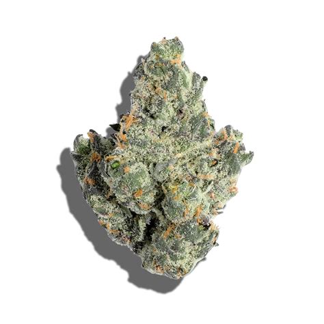 Cotton Candy Strain Info & Review: Effects, Flavors & Growing Tips – Hey abby