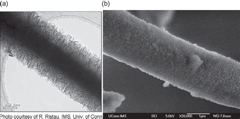 A Tem Image Of Alumina Nanofibers Bonded To Glass Microfiber B Sem Download Scientific