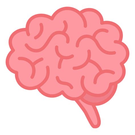 Png E Svg De Cerebro Com Fundo Transparente Para Baixar