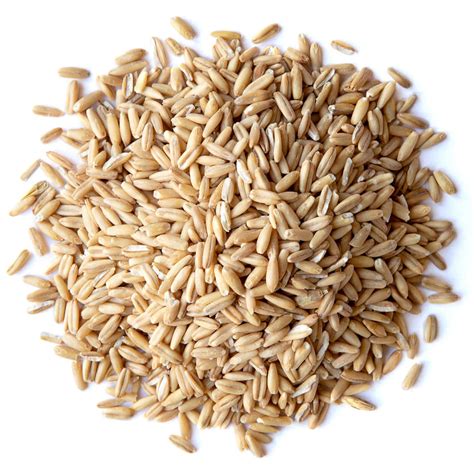 Hulled Oat Groats Buy In Bulk From Food To Live