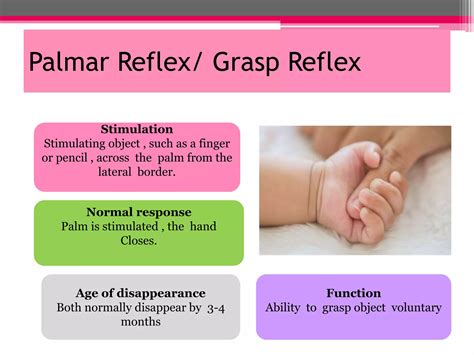 New Born Reflexes Ppt