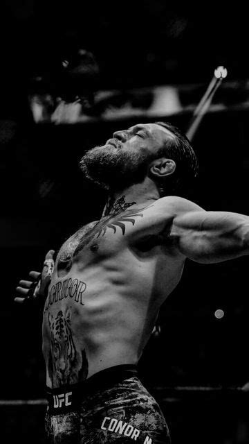 Videos Video Gym Video Athlete Motivation Fitness Motivation Mcgregor Wallpapers Connor