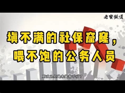 填不满的社保窟窿喂不饱的公务人员 YouTube