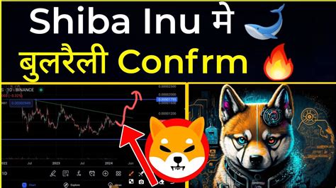 🔴shiba Inu मे बुलरैली Confirm 👍 🐋 Shib Token New Update