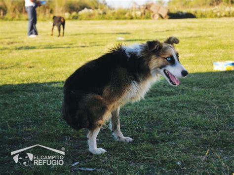 El Campito Refugio Buenos Aires Argentina