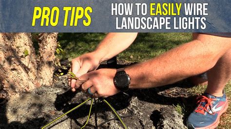 How To Easily Wire Landscape Lights Youtube