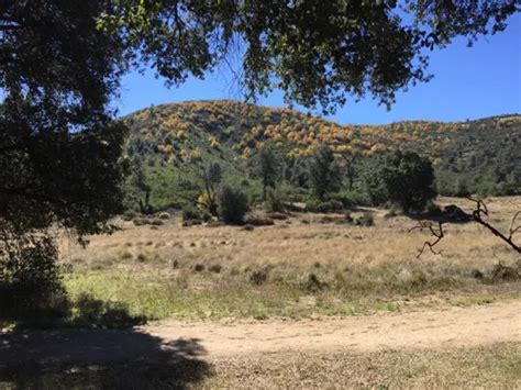 10 Best Hikes and Trails in Cuyamaca Rancho State Park | AllTrails