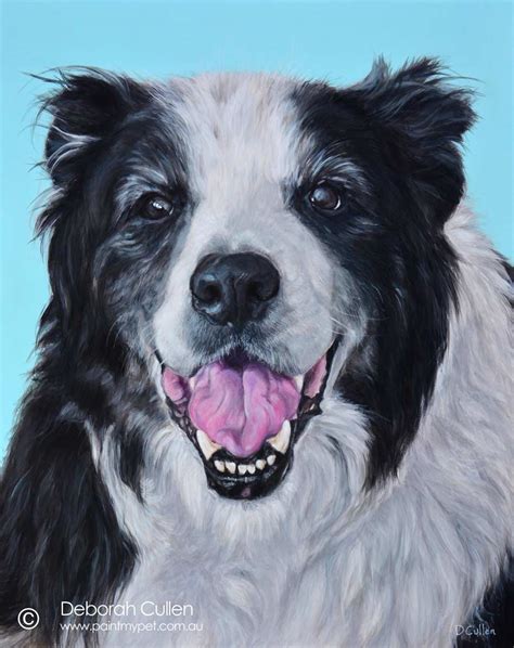 Toby Border Collie Dog Portrait Painting Paintmypet By Deborah Cullen