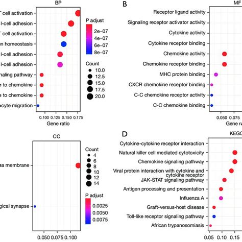 Functional Enrichment Analysis For Go And Kegg A Bp B Mf C Cc