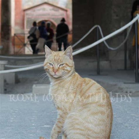 Pompeii & Mount Vesuvius tour with kids | Rome Tours with kids