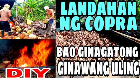 Coconut Charcoal And Coconut Dryer Paano Magpatuyo Ng Copra At