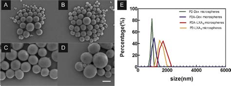 Morphology And Size Distribution Of Electrosprayed Drug Loaded Plga