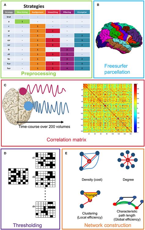 Frontiers The Influence Of Preprocessing Steps On Graph Theory