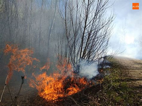 Extinguidos tres pequeños incendios forestales en el entorno de