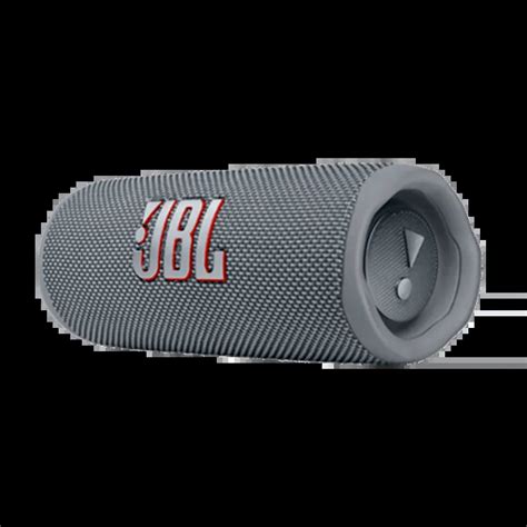 Comprá JBL Parlante Bluetooth JBL Flip6 Gris en Tienda Personal