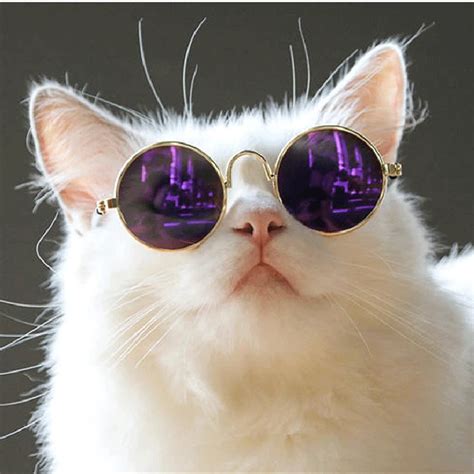 Pet Products Lovely Vintage Round Cat Sunglasses Reflection Eye Wear