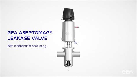 Gea Aseptomag Leakage Valves With Independent Seat Lifting Short