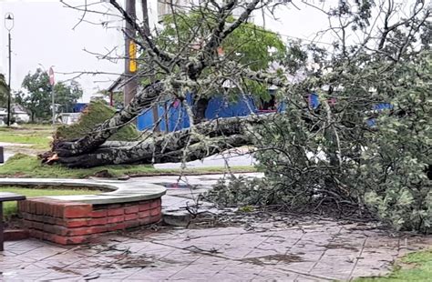 Soriano Tuvo R Fagas De Viento Superiores A Km H Rboles Ca Dos