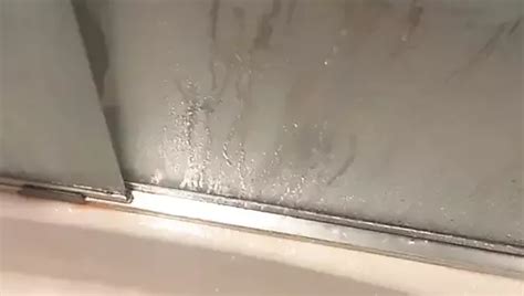 Free Shower Play Gay Porn Videos XHamster