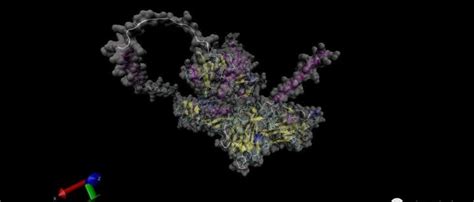 生物信息学从零开始学（5）——蛋白质三级结构预测 知乎