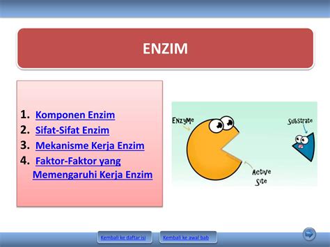 Bab 2. metabolisme part 1 (enzim) | PPT