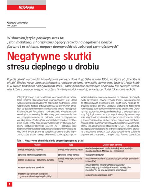 Negatywne Skutki