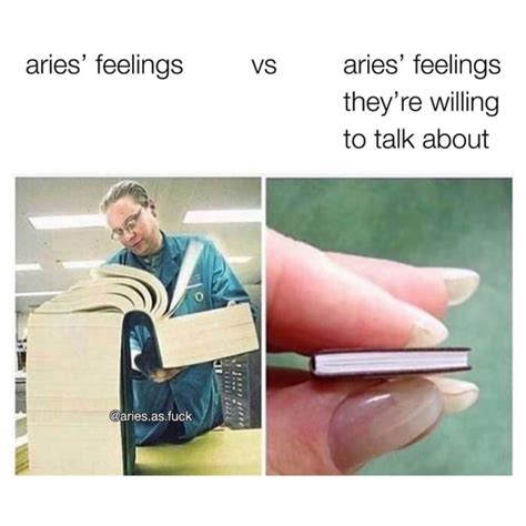 50 Funny Aries Memes That Every Arian Will Relate To